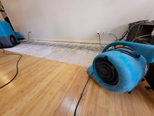 Professional Basement Flood Cleanup technician working in Aguila, AZ